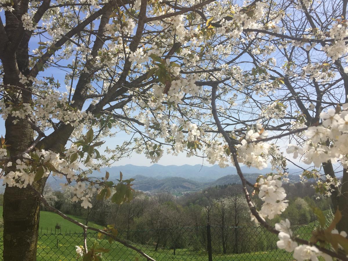Boccaor Appartement Paderno del Grappa Buitenkant foto